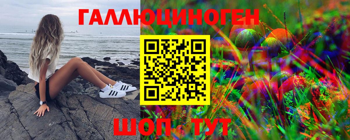 Галлюциногенные грибы ЛСД  Галлюциногенные грибы Psilocybe  Вход с VPN  Кизляр 